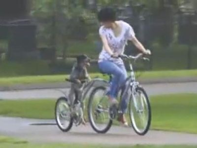 ��ž���椰��