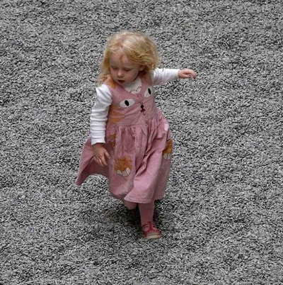 ひまわりの種11