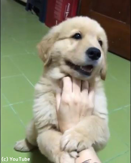 �ʥǥʥǤ����Ӥ�Ĥ����Υ���ʤ�01