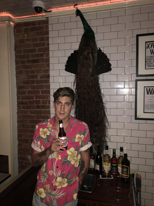 ニューヨークの地下鉄に孔雀02