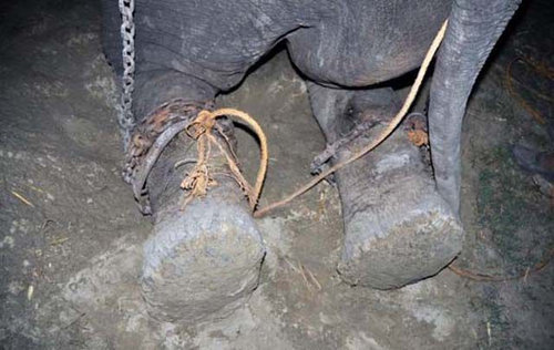 50ǯ֥ɤǴƶؤƤ߽Ф04