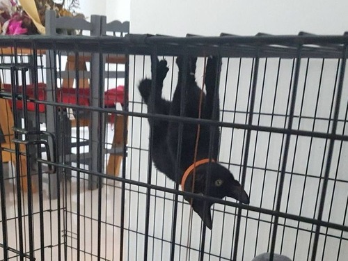 �������ߤ�����ǭ02