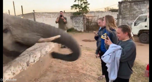 ���ߤ˥����˶�Ť��������02