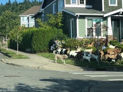 �����Ϥǥ䥮����æ�������03