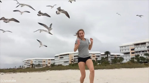 カモメの群れに追いかけられる女の子04