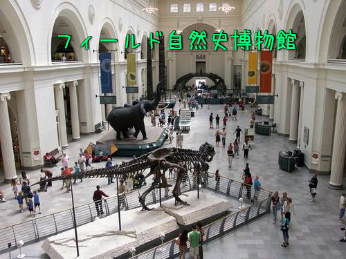 博物館でパノラマ撮影00