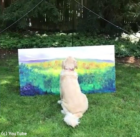 うちの犬は美術評論家02