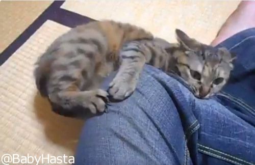 ダメージジーンズ製造工場02