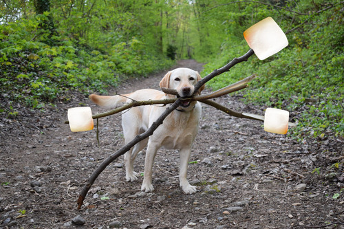 ɬ������Ȥ������ʸ�09