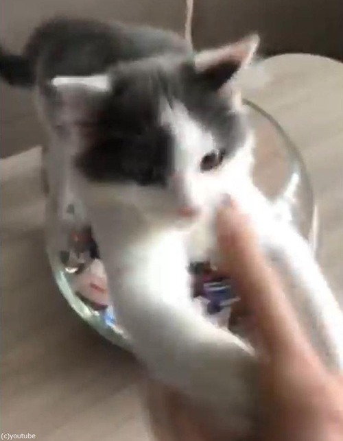 ��ǭ�����饹�ӤΥ����ǥ������餹��01