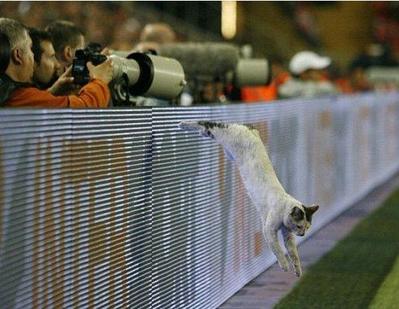 ���å����繥��ǭ03