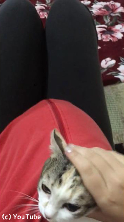 ������ˤ礭�á�ǭ�ο���꤬���襤����04