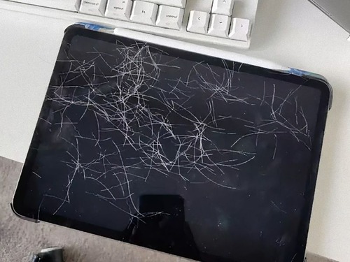 iPadに猫が自撮り00
