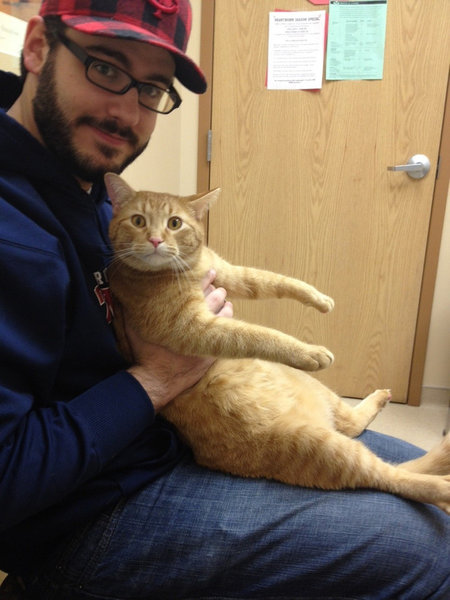 犬や猫が獣医に連れて行かれることを察知したとき03