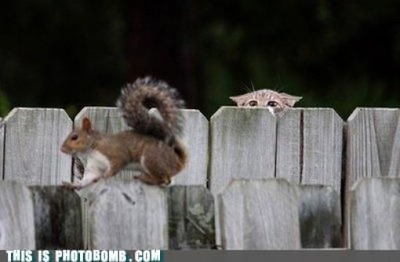 ���ä���ʼ̿�03