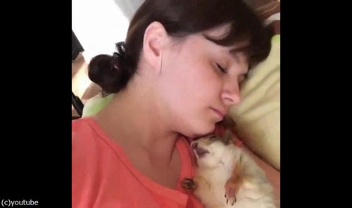 �ɥ�ޥ��å��ʥꥹ���ܳФ�01