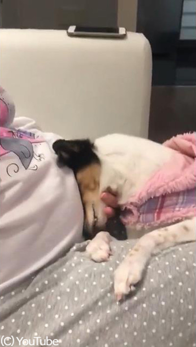 ��ʢ������֤���󤬰��������ƻ������ʤ���03