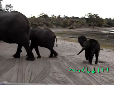 ������ߤ��륾��