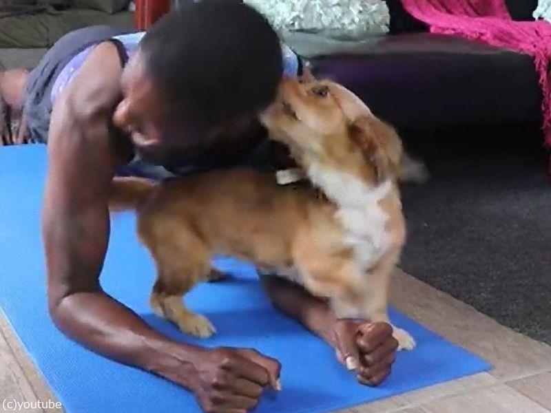 愛犬のいるところで筋トレは 難易度が高い 動画 らばq 愛犬のいるところで筋トレは 難易度が高い 動画 らばq