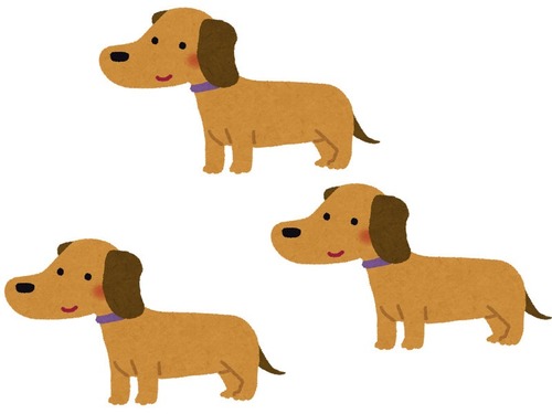 「うちの犬3匹は家の最もヌクヌクした特等席を占拠する…」