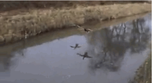 �ʹ������ޥ���16