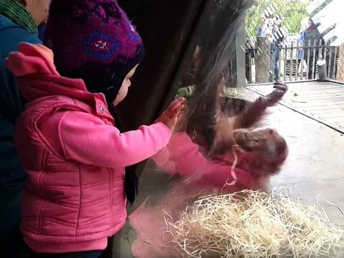 �֥쥤�����󥹤��륪��󥦡�����02