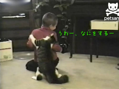男の子を襲う猫