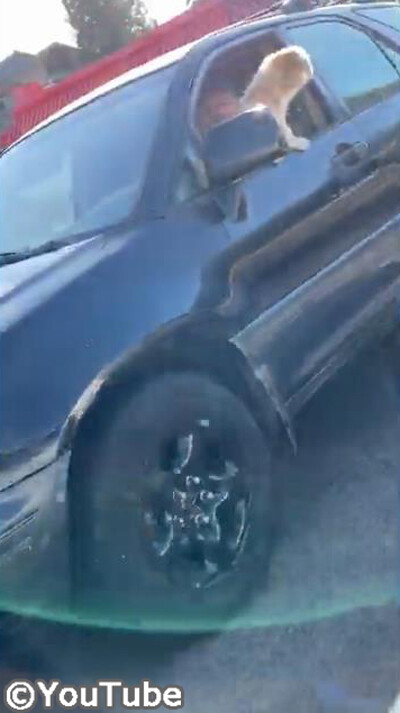 �繥���ʥܡ����ȩ��Υ�������äƤ������Ĥޤ�������ब04