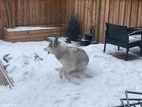 ��ξ�Ǹ��������å�������02