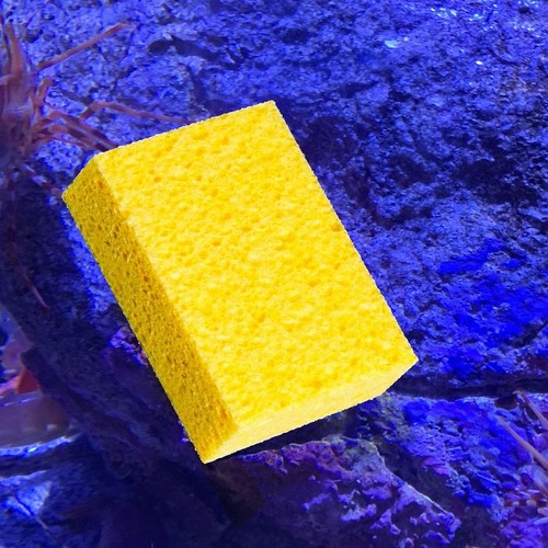 �ѥȥ�å���������09