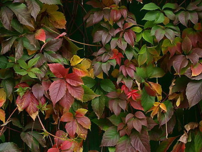 写真テクニック09