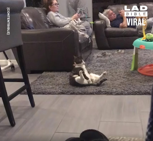 �ӤŤ���������ǭ�Υݡ������˥��Ȥ�����ʤ�01