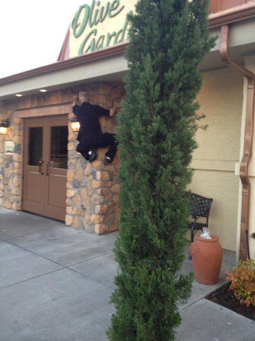 17突っ込みどころがある写真