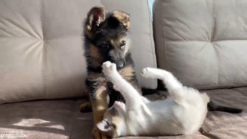 ��ǭ�ȻҸ��ȥ�ȥ�С�03