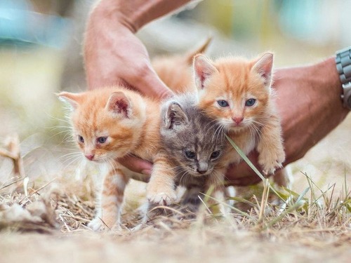 ���ʤ��ι�θ����ǭ�򲿤Ƹ�����01