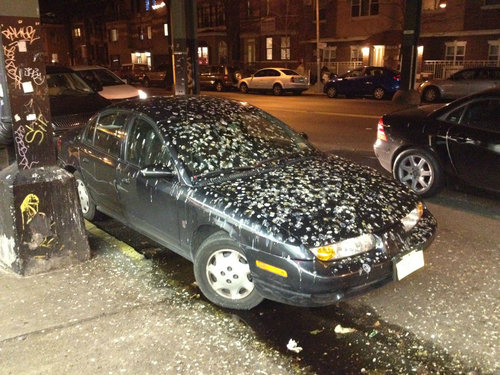 これが本当のアングリーバード01