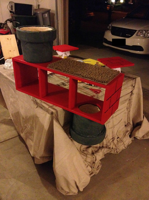 スーパーマリオな猫の遊び場05