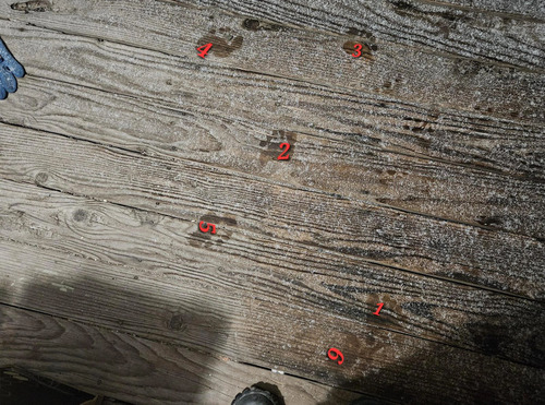 ��ī1�֤˵�������Ŀʹ֤Ρؤ������ȡ٤�����!��02