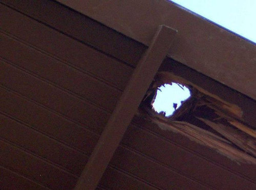 飛行機からカメラを落とした05