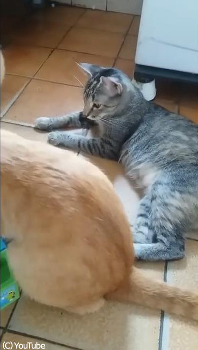 �ơ��֥륲�����ͷ��ǭ����03