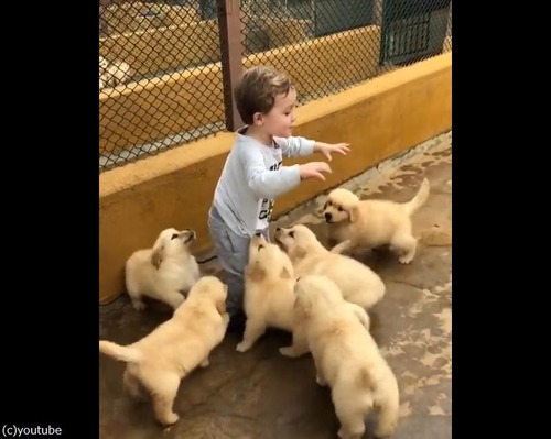 こんな幸せな光景って他にある?01