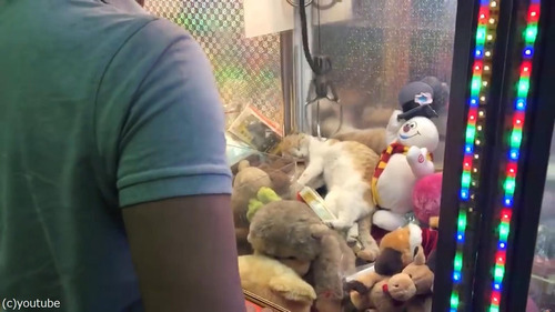 ���졼�󥲡����ǭ06