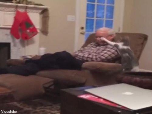 猫の前で死んだふりをしてたら…05