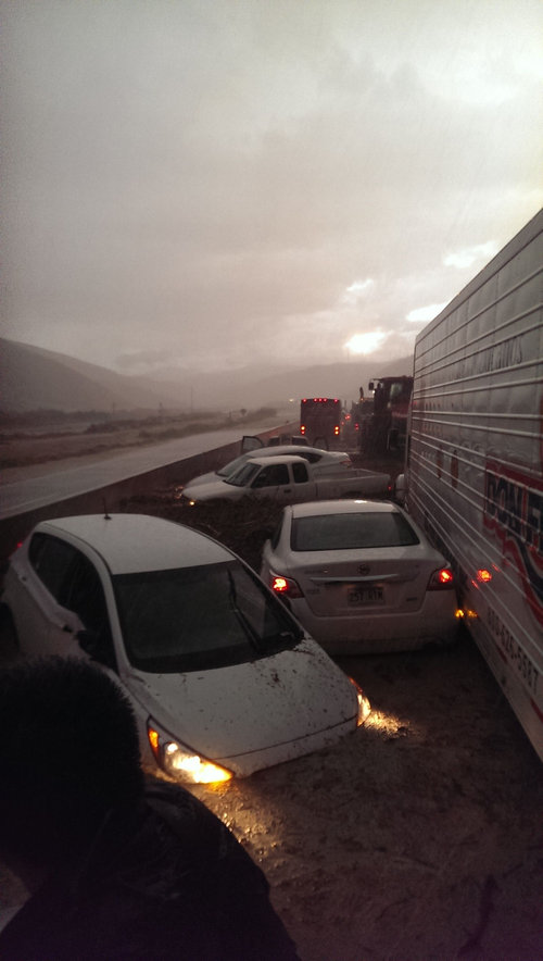 干ばつの続くカリフォルニアにようやく雨が降った14