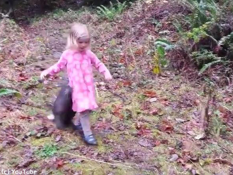 女の子から1ミリたりとも離れたくないヤマアラシ 動画 らばq 女の子から1ミリたりとも離れたくないヤマアラシ 動画 らばq