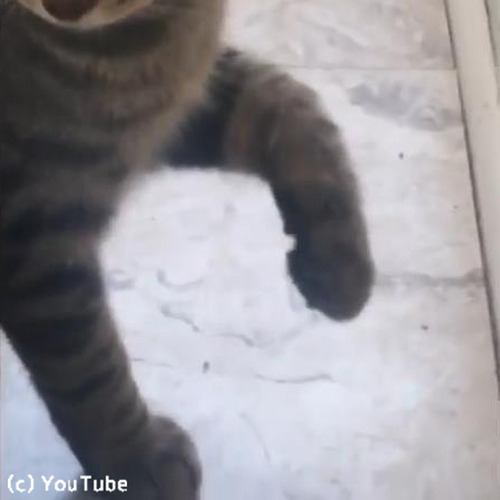 �����ʤ�Ȣ�˼���֤�ǭ04