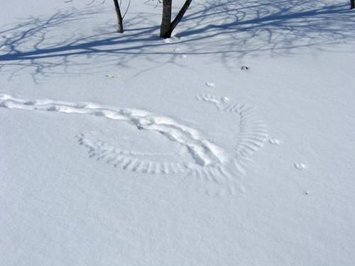 屋根からリスが落ちた03