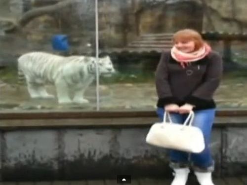 ���Ф˿����֤äƤϤ����ʤ�01