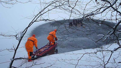 湖に落ちた鹿を救助01