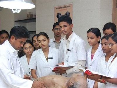 B インド 実の父親の亡骸を解剖実習する医師 インド らばq B インド 実の父親の亡骸を解剖実習する医師 インド らばq